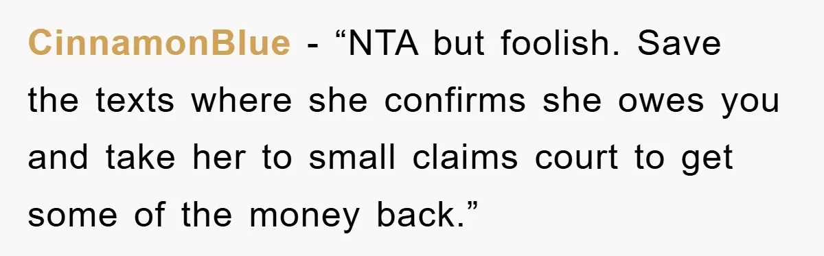 CinnamonBlue - “NTA but foolish. Save the texts where she confirms she owes you and take her to small claims court to get some of the money back.”