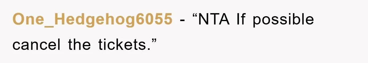 One_Hedgehog6055 - “NTA If possible cancel the tickets.”