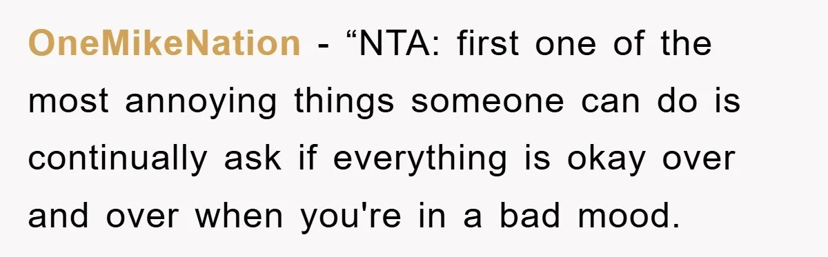 OneMikeNation - “NTA: first one of the most annoying things someone can do is continually ask if everything is okay over and over when you're in a bad mood.