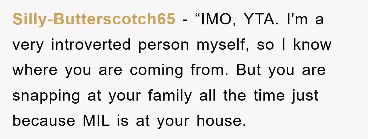 Silly-Butterscotch65 - “IMO, YTA. I'm a very introverted person myself, so I know where you are coming from. But you are snapping at your family all the time just because...