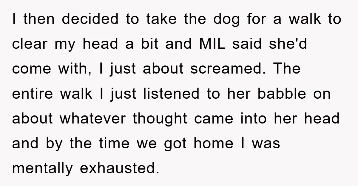 I then decided to take the dog for a walk to clear my head a bit and MIL said she'd come with, I just about screamed. The entire walk I...