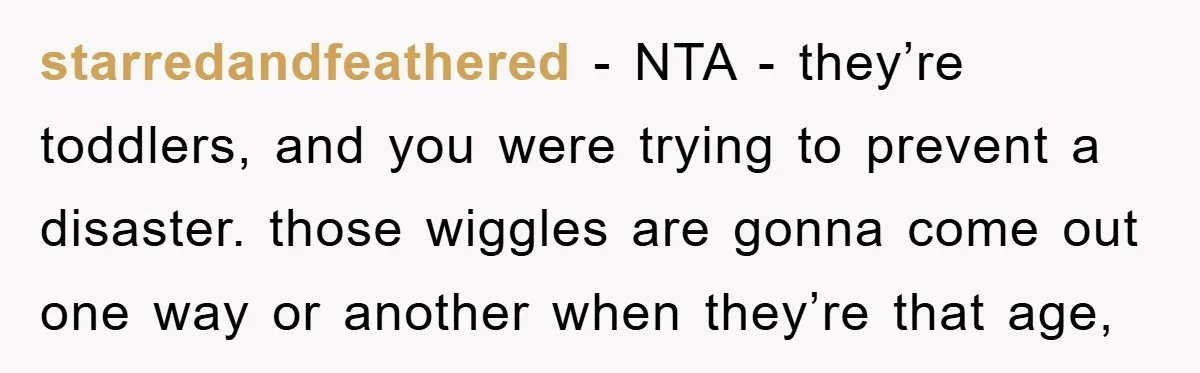 starredandfeathered − NTA - they’re toddlers, and you were trying to prevent a disaster. those wiggles are gonna come out one way or another when they’re that age,