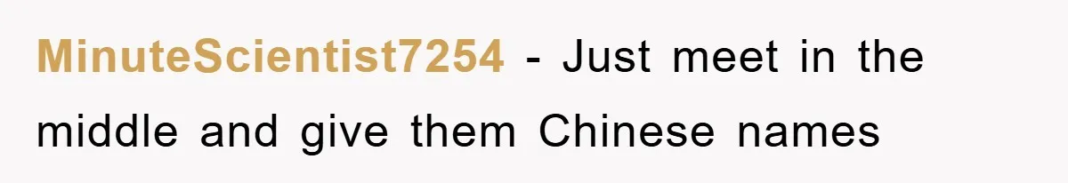 MinuteScientist7254 − Just meet in the middle and give them Chinese names