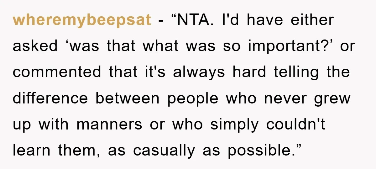 wheremybeepsat - “NTA. I'd have either asked ‘was that what was so important?’ or commented that it's always hard telling the difference between people who never grew up with manners...