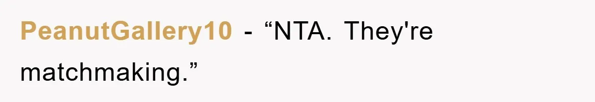 PeanutGallery10 - “NTA. They're matchmaking.”