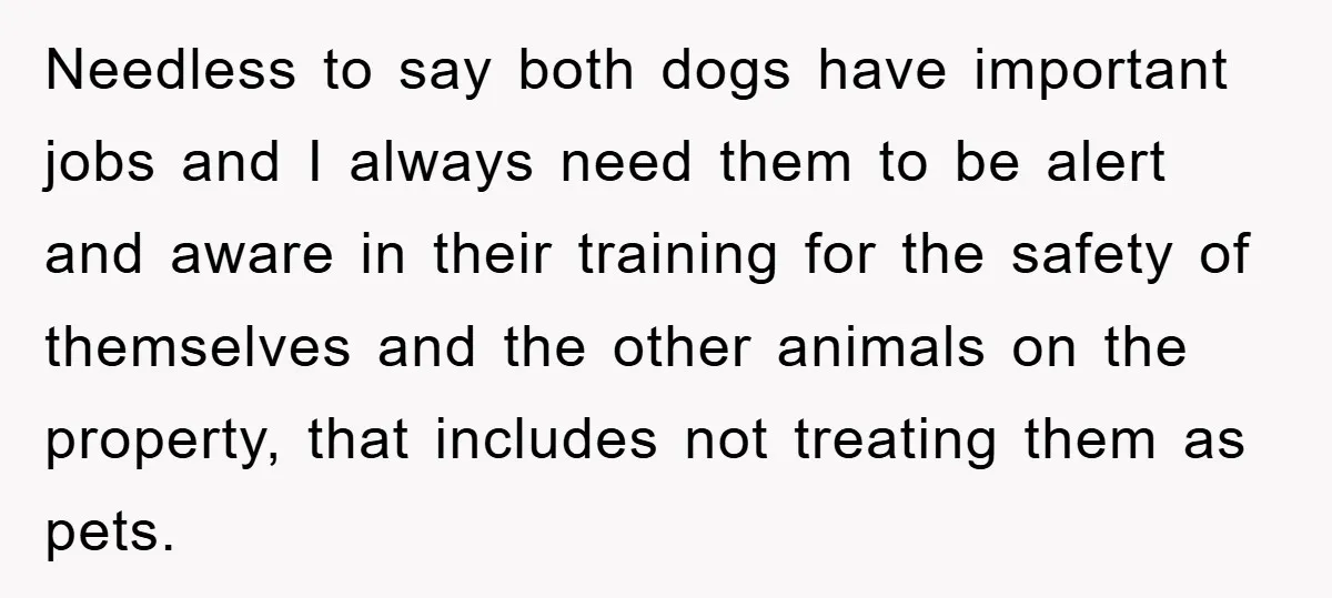 Needless to say both dogs have important jobs and I always need them to be alert and aware in their training for the safety of themselves and the other animals...