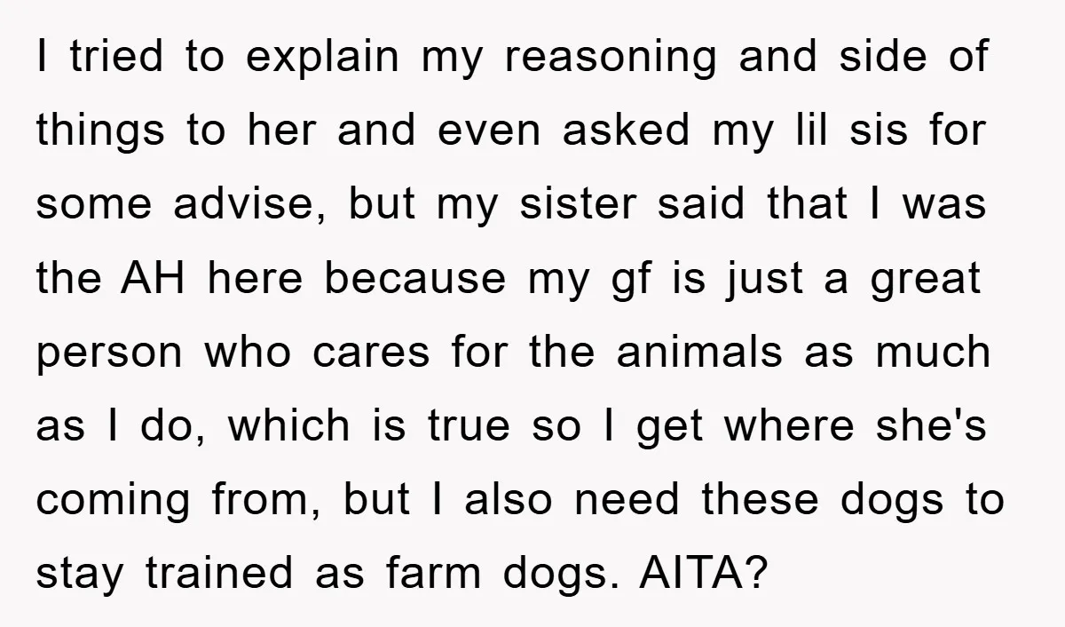 I tried to explain my reasoning and side of things to her and even asked my lil sis for some advise, but my sister said that I was the AH...