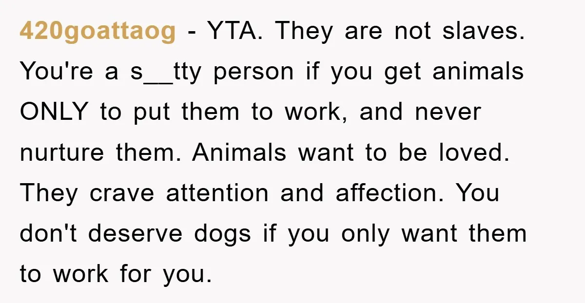 420goattaog − YTA. They are not slaves. You're a s__tty person if you get animals ONLY to put them to work, and never nurture them. Animals want to be loved....
