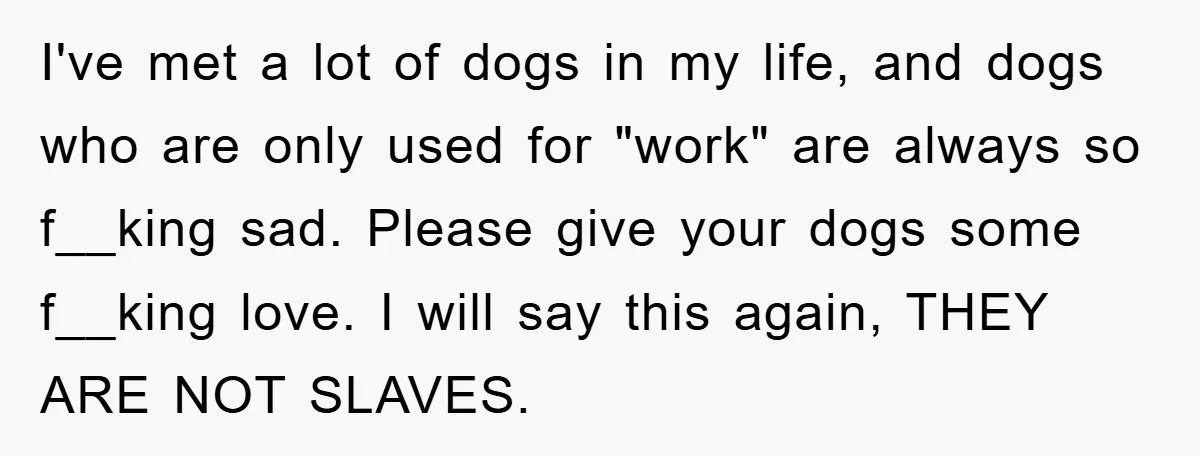 I've met a lot of dogs in my life, and dogs who are only used for "work" are always so f__king sad. Please give your dogs some f__king love. I...