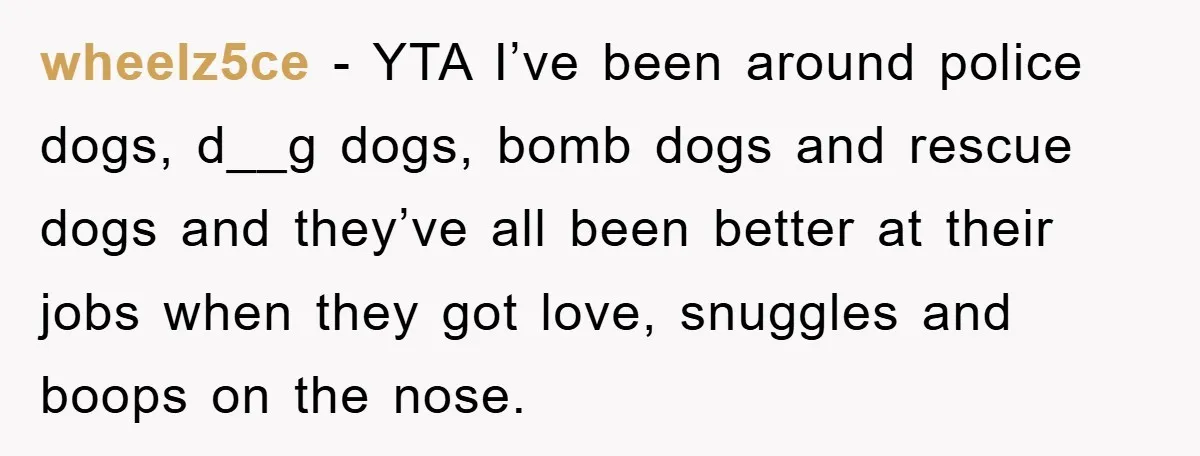 wheelz5ce − YTA I’ve been around police dogs, d__g dogs, bomb dogs and rescue dogs and they’ve all been better at their jobs when they got love, snuggles and boops...