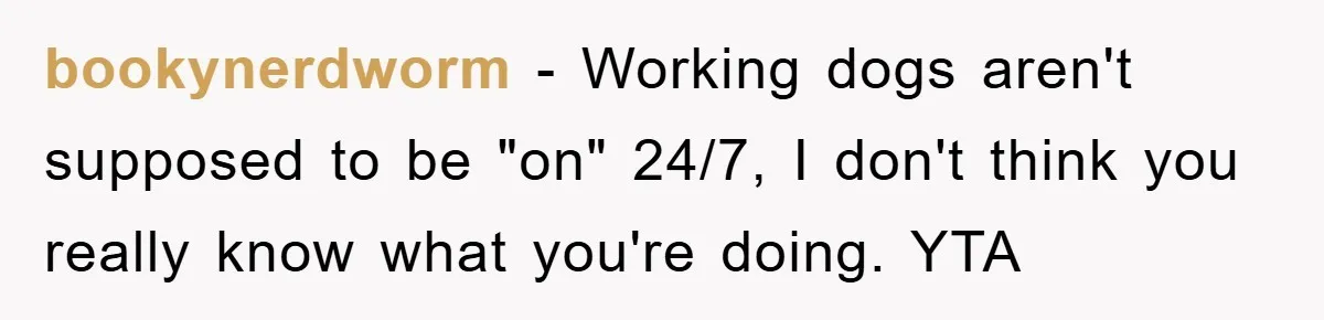 bookynerdworm − Working dogs aren't supposed to be "on" 24/7, I don't think you really know what you're doing. YTA