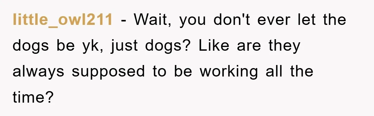 little_owl211 − Wait, you don't ever let the dogs be yk, just dogs? Like are they always supposed to be working all the time?