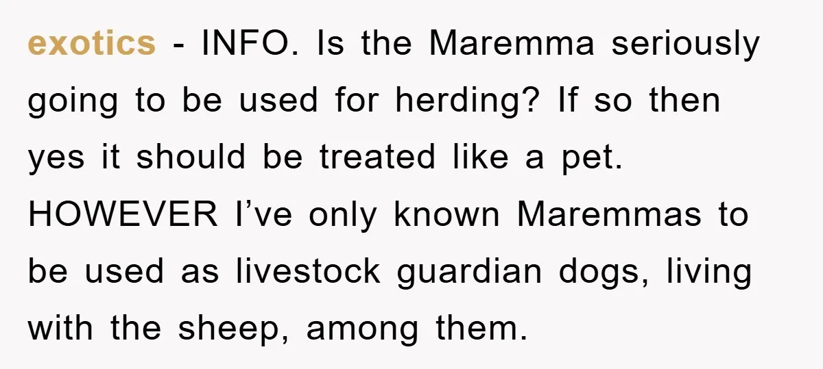 exotics − INFO. Is the Maremma seriously going to be used for herding? If so then yes it should be treated like a pet. HOWEVER I’ve only known Maremmas to...