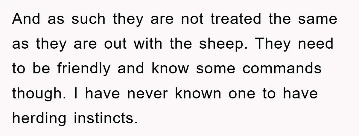And as such they are not treated the same as they are out with the sheep. They need to be friendly and know some commands though. I have never known...