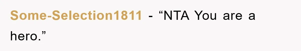 Some-Selection1811 - “NTA You are a hero.”