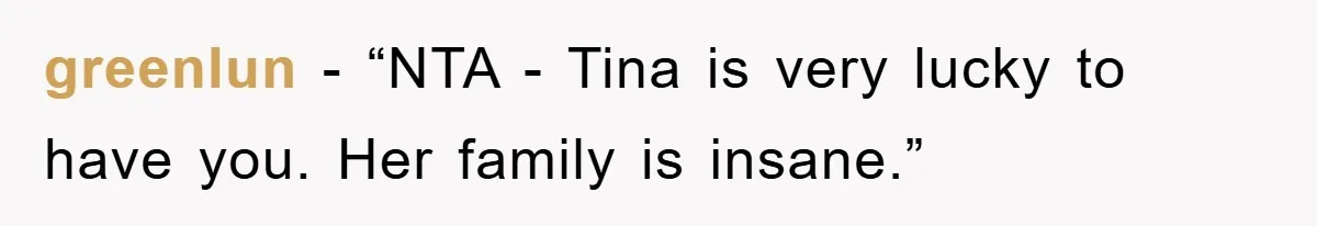 greenlun - “NTA - Tina is very lucky to have you. Her family is insane.”