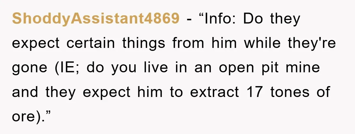 ShoddyAssistant4869 - “Info: Do they expect certain things from him while they're gone (IE; do you live in an open pit mine and they expect him to extract 17 tones...