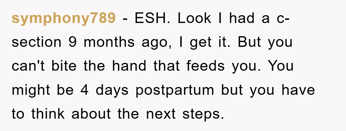 symphony789 − ESH. Look I had a c-section 9 months ago, I get it. But you can't bite the hand that feeds you. You might be 4 days postpartum but...