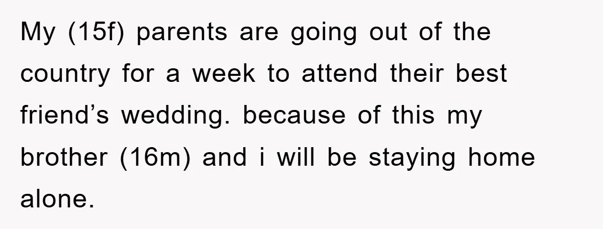 My (15f) parents are going out of the country for a week to attend their best friend’s wedding. because of this my brother (16m) and i will be staying home...