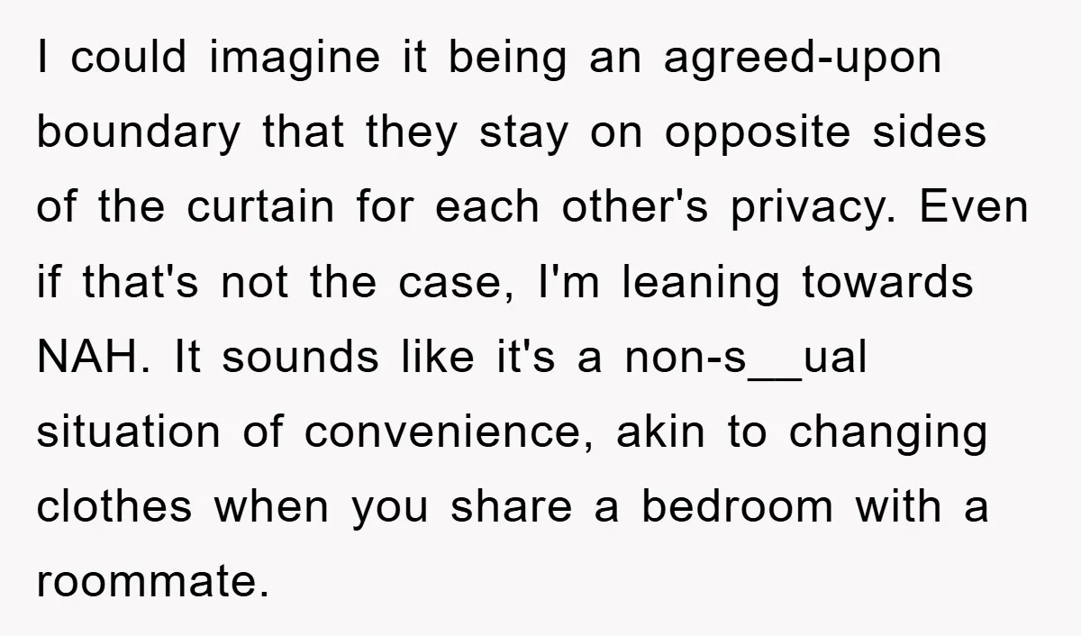 I could imagine it being an agreed-upon boundary that they stay on opposite sides of the curtain for each other's privacy. Even if that's not the case, I'm leaning towards...