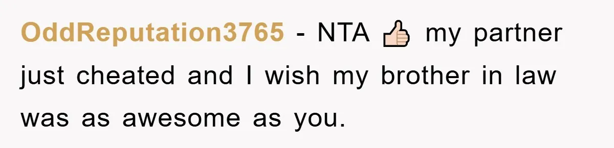 OddReputation3765 − NTA 👍🏻 my partner just cheated and I wish my brother in law was as awesome as you.