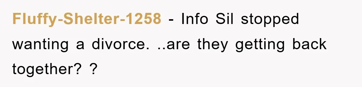 Fluffy-Shelter-1258 − Info Sil stopped wanting a divorce. ..are they getting back together? ?