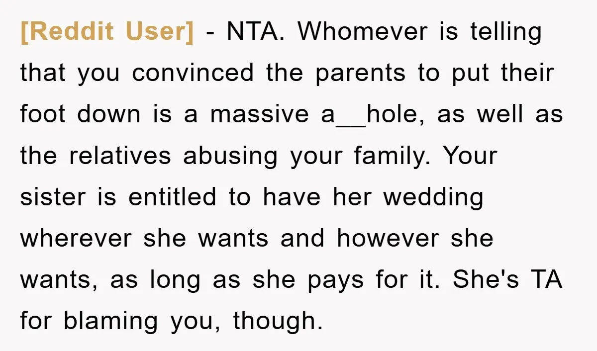 [Reddit User] − NTA. Whomever is telling that you convinced the parents to put their foot down is a massive a__hole, as well as the relatives abusing your family. Your...