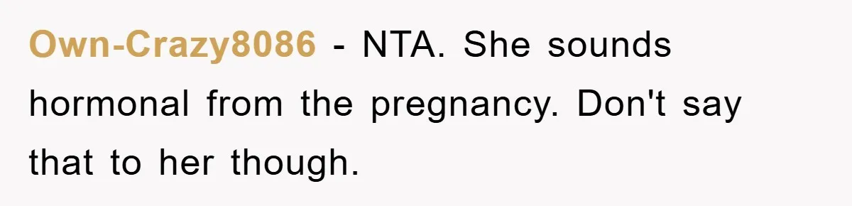 Own-Crazy8086 − NTA. She sounds hormonal from the pregnancy. Don't say that to her though.