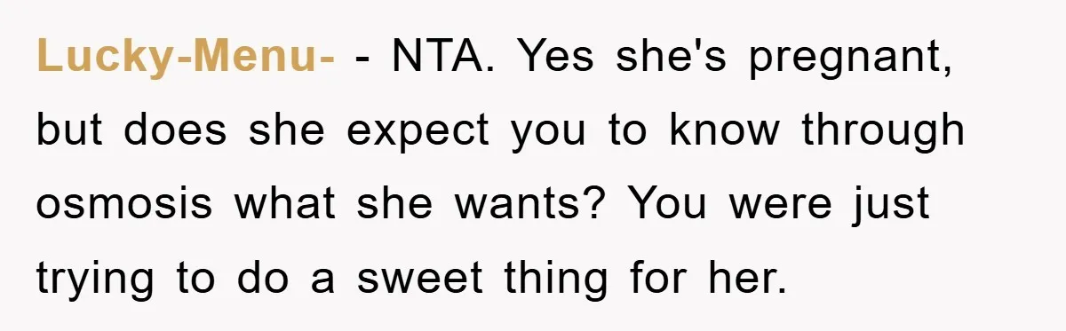 Lucky-Menu- − NTA. Yes she's pregnant, but does she expect you to know through osmosis what she wants? You were just trying to do a sweet thing for her.