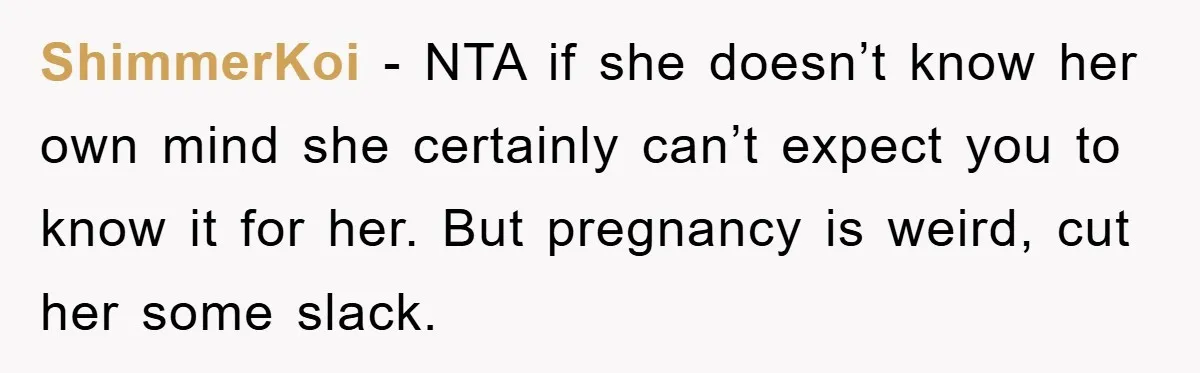 ShimmerKoi − NTA if she doesn’t know her own mind she certainly can’t expect you to know it for her. But pregnancy is weird, cut her some slack.