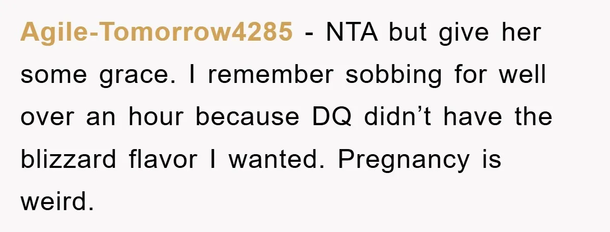 Agile-Tomorrow4285 − NTA but give her some grace. I remember sobbing for well over an hour because DQ didn’t have the blizzard flavor I wanted. Pregnancy is weird.