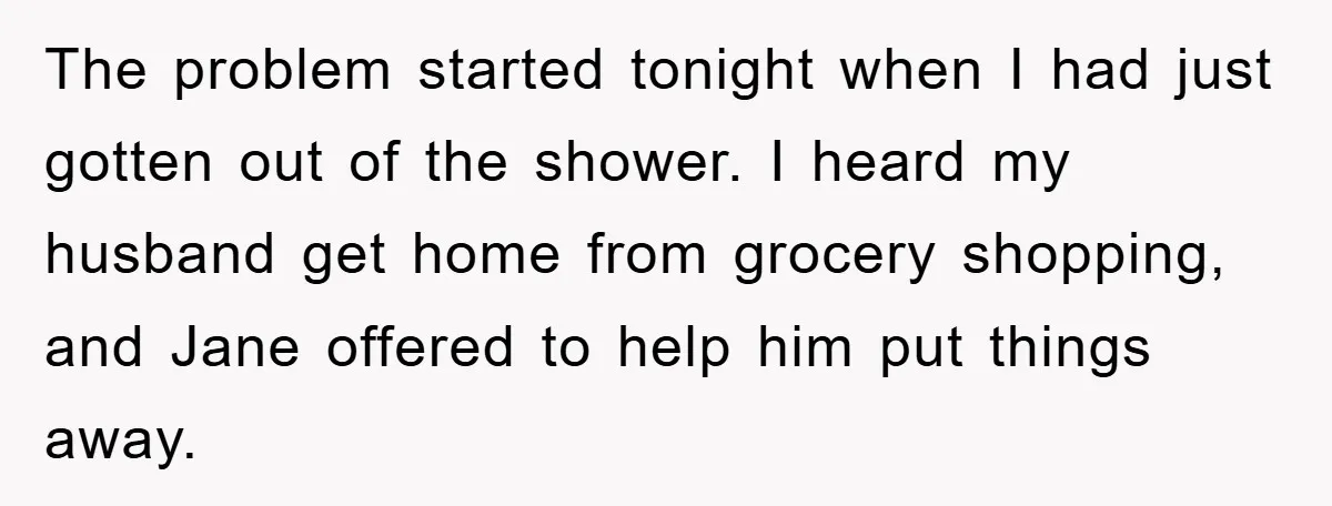 The problem started tonight when I had just gotten out of the shower. I heard my husband get home from grocery shopping, and Jane offered to help him put things...