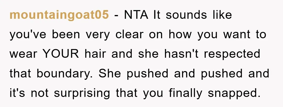 mountaingoat05 − NTA It sounds like you've been very clear on how you want to wear YOUR hair and she hasn't respected that boundary. She pushed and pushed and it's...