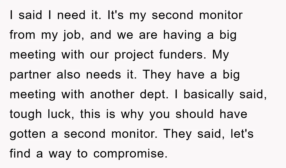 I said I need it. It's my second monitor from my job, and we are having a big meeting with our project funders. My partner also needs it. They have...