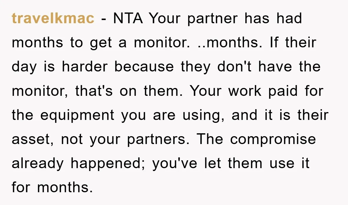 travelkmac − NTA Your partner has had months to get a monitor. ..months. If their day is harder because they don't have the monitor, that's on them. Your work paid...