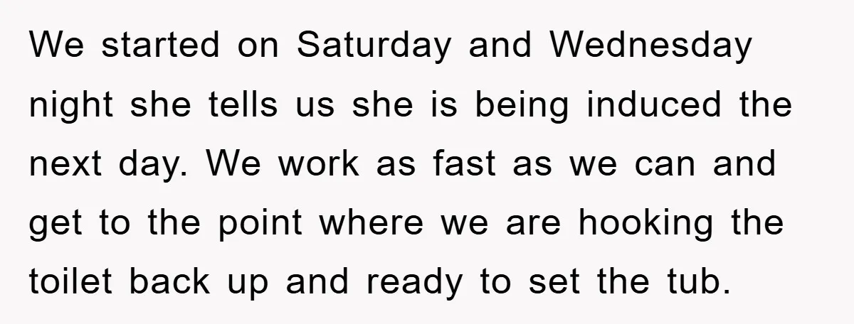 We started on Saturday and Wednesday night she tells us she is being induced the next day. We work as fast as we can and get to the point where...