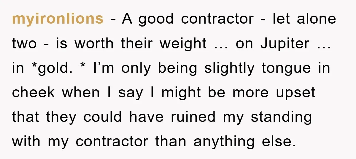 myironlions − A good contractor - let alone two - is worth their weight … on Jupiter … in *gold. * I’m only being slightly tongue in cheek when I...