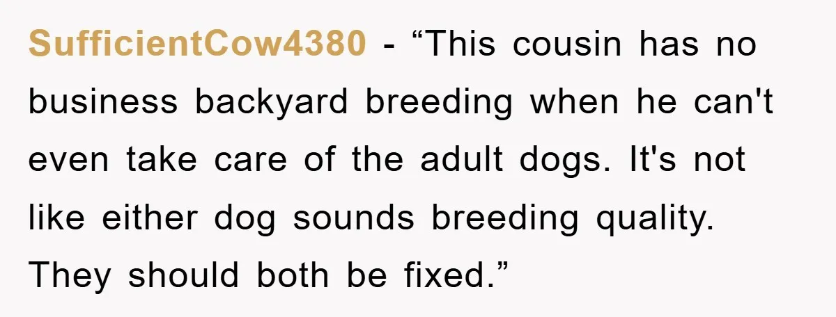 SufficientCow4380 - “This cousin has no business backyard breeding when he can't even take care of the adult dogs. It's not like either dog sounds breeding quality. They should both...
