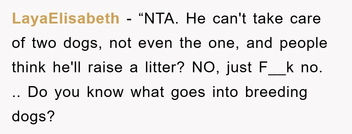 LayaElisabeth - “NTA. He can't take care of two dogs, not even the one, and people think he'll raise a litter? NO, just F__k no. .. Do you know what...