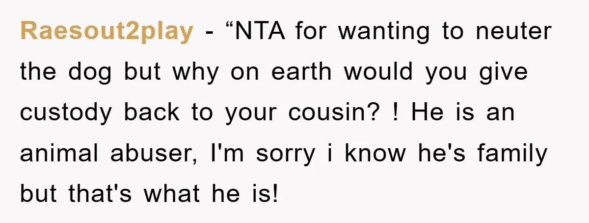 Raesout2play - “NTA for wanting to neuter the dog but why on earth would you give custody back to your cousin? ! He is an animal abuser, I'm sorry i...