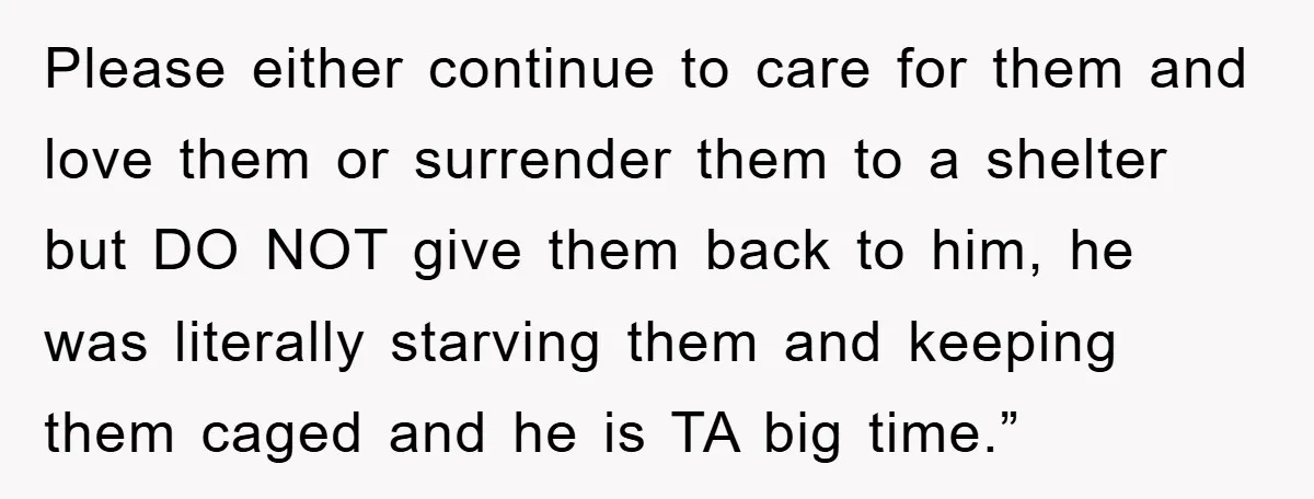 Please either continue to care for them and love them or surrender them to a shelter but DO NOT give them back to him, he was literally starving them and...