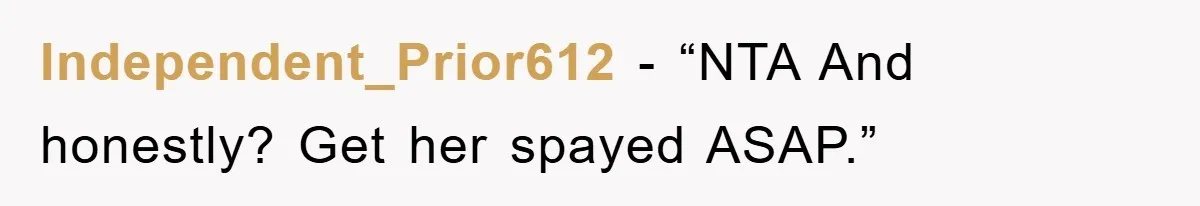 Independent_Prior612 - “NTA And honestly? Get her spayed ASAP.”