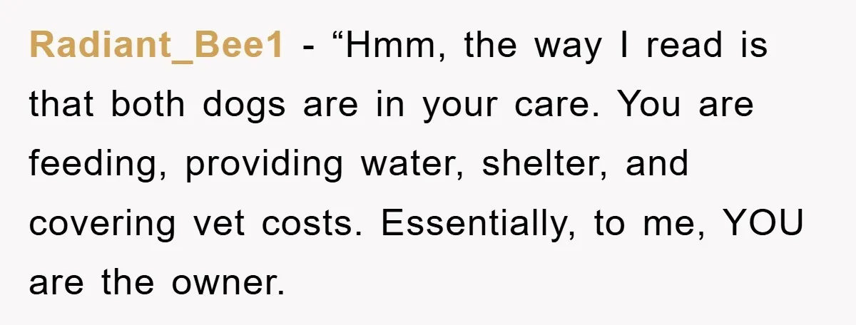 Radiant_Bee1 - “Hmm, the way I read is that both dogs are in your care. You are feeding, providing water, shelter, and covering vet costs. Essentially, to me, YOU are...