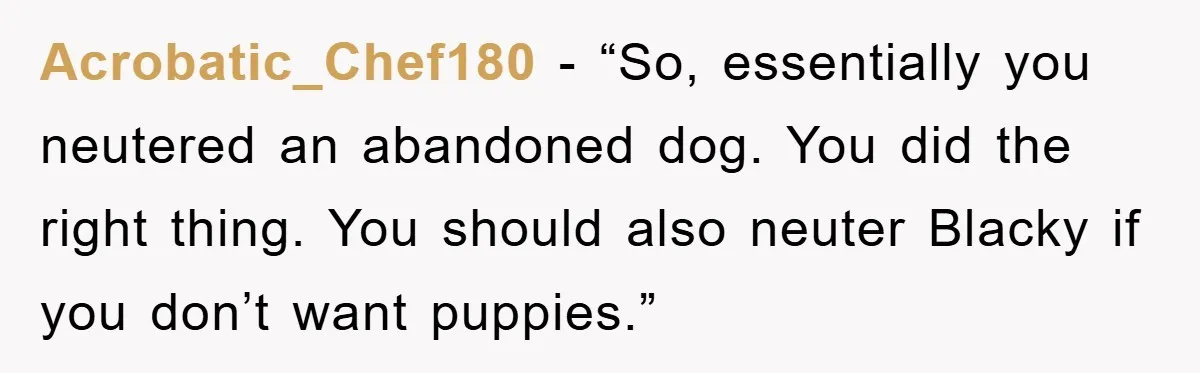 Acrobatic_Chef180 - “So, essentially you neutered an abandoned dog. You did the right thing. You should also neuter Blacky if you don’t want puppies.”
