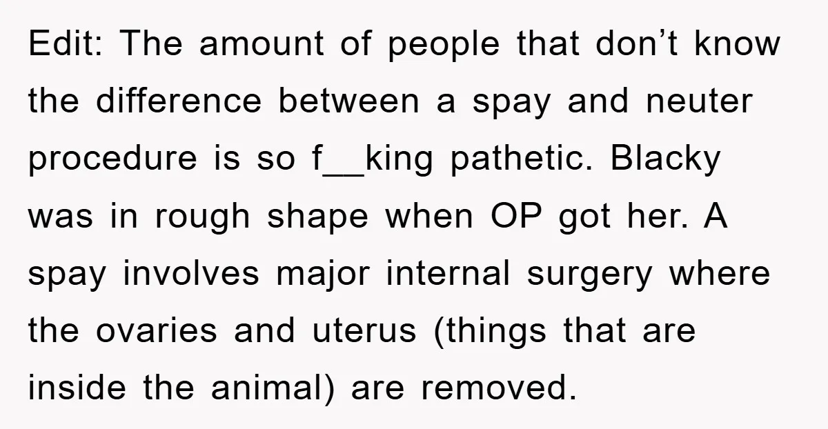 Edit: The amount of people that don’t know the difference between a spay and neuter procedure is so f__king pathetic. Blacky was in rough shape when OP got her. A...
