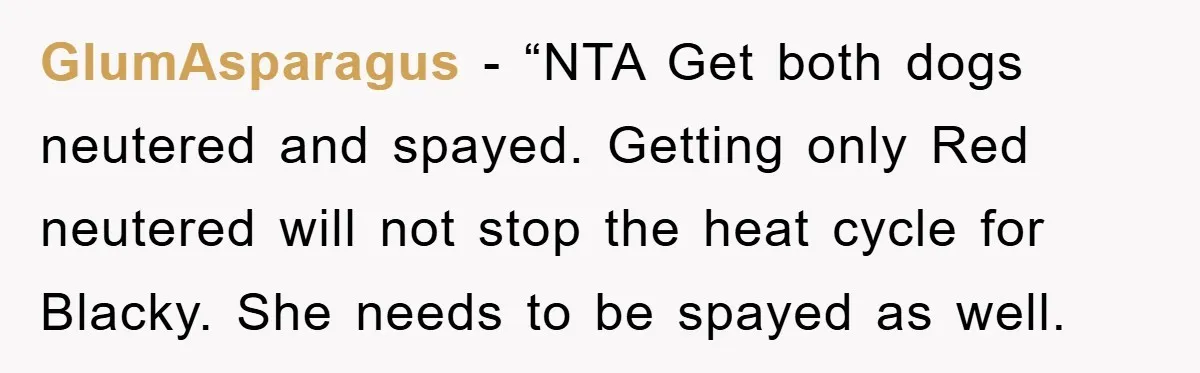 GlumAsparagus - “NTA Get both dogs neutered and spayed. Getting only Red neutered will not stop the heat cycle for Blacky. She needs to be spayed as well.