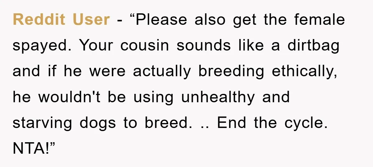 Reddit User - “Please also get the female spayed. Your cousin sounds like a dirtbag and if he were actually breeding ethically, he wouldn't be using unhealthy and starving dogs...