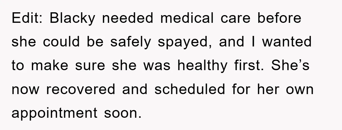 Edit: Blacky needed medical care before she could be safely spayed, and I wanted to make sure she was healthy first. She’s now recovered and scheduled for her own appointment...