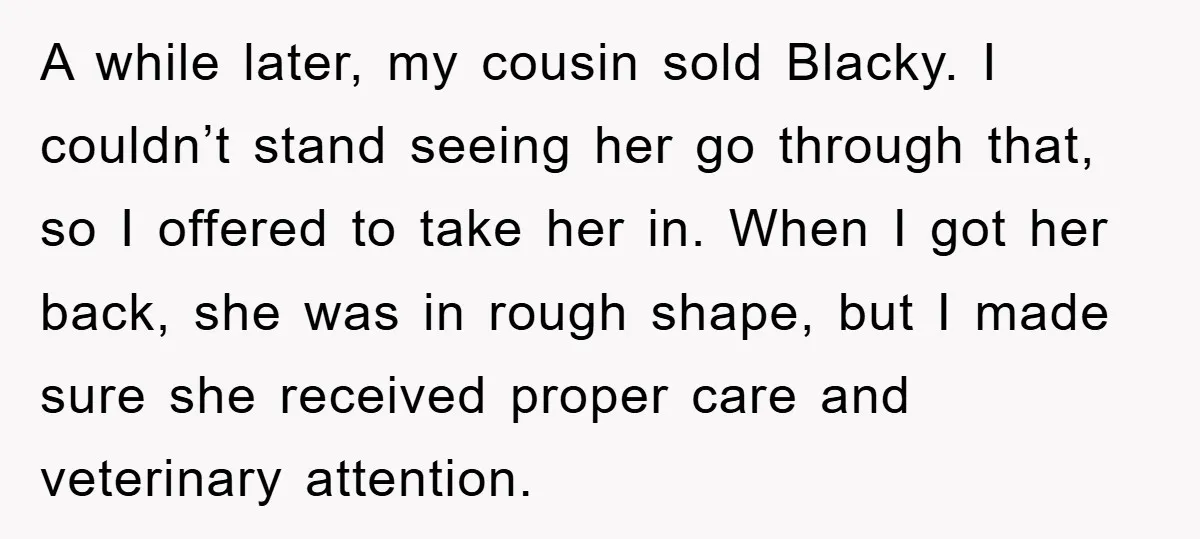 A while later, my cousin sold Blacky. I couldn’t stand seeing her go through that, so I offered to take her in. When I got her back, she was in...