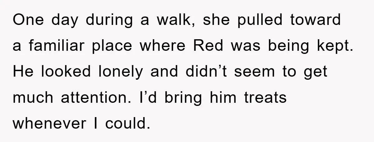 One day during a walk, she pulled toward a familiar place where Red was being kept. He looked lonely and didn’t seem to get much attention. I’d bring him treats...